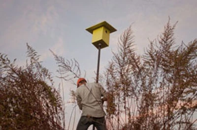 10 điều thú vị về Olympic London 2012 ảnh 2