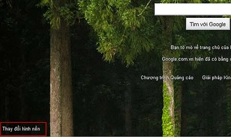 Người dùng đã có thể tự đặt ảnh nền trang chủ Google ảnh 2