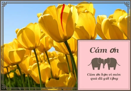 Mẹo hay tự tạo tấm thiệp điện tử của riêng mình ảnh 5