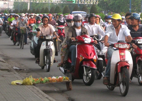 Nguy cơ độc hại từ gà con nhuộm đủ màu sắc ảnh 2 Nguy cơ độc hại từ gà con nhuộm đủ màu sắc ảnh 2