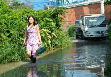 Đường ngập nước dù trời nắng ảnh 1