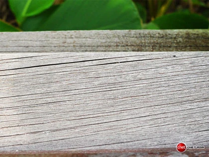 Tự học chụp ảnh - Chế độ Macro ảnh 4