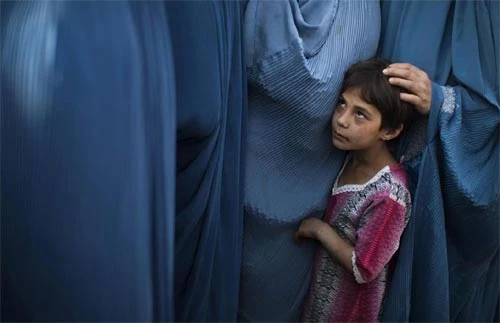 Những bức ảnh thảm họa ấn tượng nhất 2010 ảnh 12