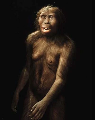 Những phát hiện xác định nguồn gốc loài người ảnh 5