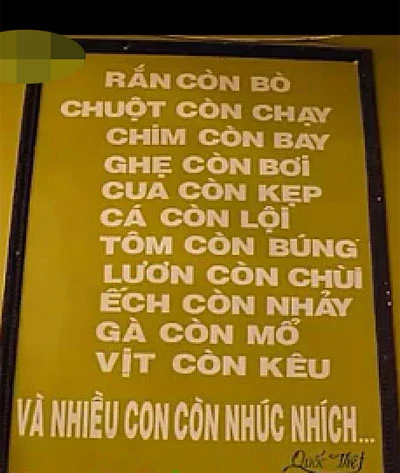 Cười vỡ bụng với biển hiệu, băng-rôn “có một không hai” ảnh 2