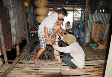 Đêm kinh hoàng trên hàm ếch tử thần ảnh 4