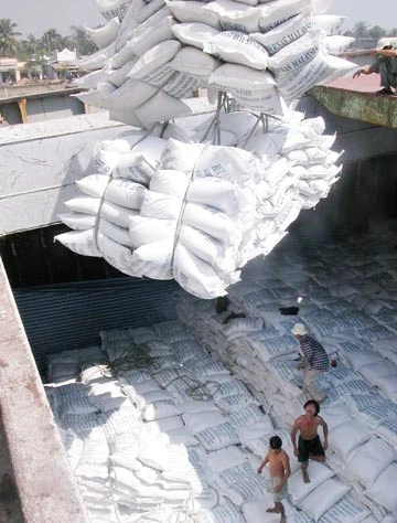 Xuất khẩu gạo lại gặp khó ảnh 1