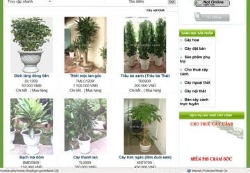 Sàn giao dịch của dân mê cây cảnh ảnh 1