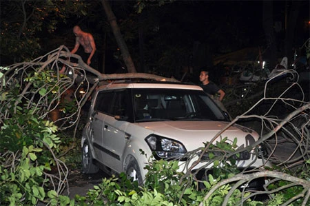 Đang đi xe máy, bị cành cây rơi vỡ đầu ảnh 1