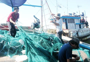 Không sợ! ảnh 1