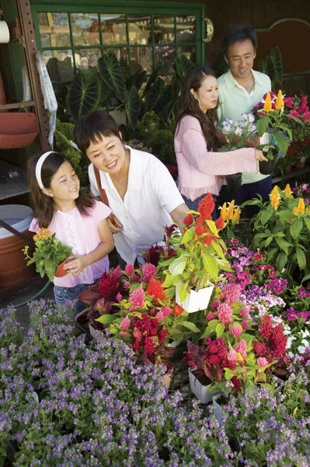 Vui Tết… tiết kiệm ảnh 3