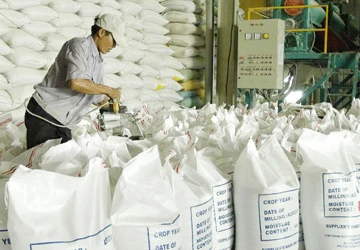 Chờ luật, doanh nghiệp gạo mạnh ai nấy làm ảnh 1