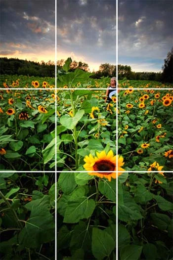 Quy tắc bố cục trong ảnh phong cảnh ảnh 3