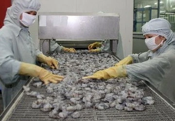 VASEP kiến nghị xuất khẩu tôm phải có điều kiện ảnh 1