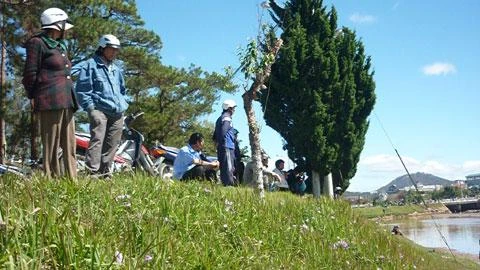 Chùm ảnh: Dân đổ xô ra hồ Xuân Hương bắt cá ảnh 2