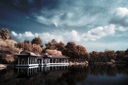 Độ tương phản màu đẹp lạ qua ảnh hồng ngoại ảnh 21