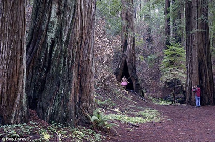 Bộ ảnh độc của người đàn ông mặc váy hồng ảnh 8