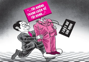 Luật sư chỉ định: Tham gia cho đủ thủ tục? ảnh 1