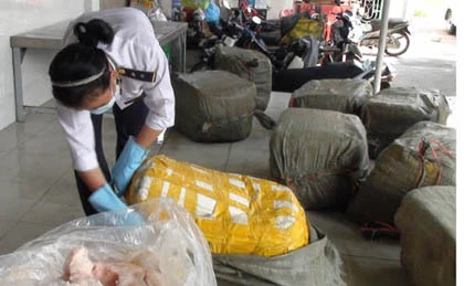 Bắt gần 14 tấn thịt thối ngay cửa ngõ Sài Gòn ảnh 2 Bắt gần 14 tấn thịt thối ngay cửa ngõ Sài Gòn ảnh 2