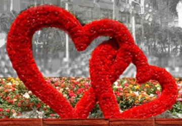 Chụp ảnh tết ở đường hoa Nguyễn Huệ ảnh 3