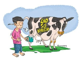 Nguy cơ lao sơ nhiễm từ sữa bò bẩn ảnh 1