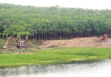 Huyện Bến Cát, tỉnh Bình Dương: Đất lòng hồ lại được cấp chủ quyền ảnh 1