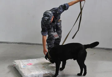 Hội nghị APEC khai mạc ở Nga ảnh 1