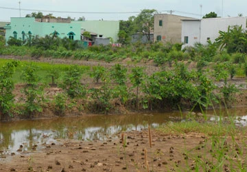 Tìm lối ra cho tiền sử dụng đất vượt hạn mức ảnh 1