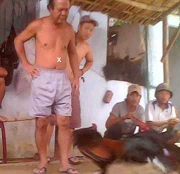 Hàng loạt “chợ đánh bạc” ở Tiền Giang - Bài 3: Trường gà, sòng tài xỉu… “liên xã” ảnh 3