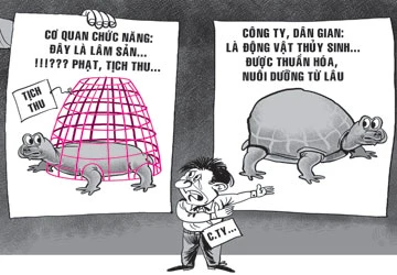 Ba ba trơn: Lâm sản hay thủy sản? ảnh 1