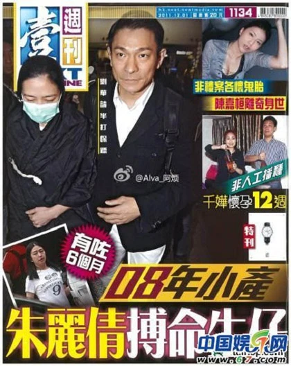 Lưu Đức Hoa mua nhà tiền tỷ cho vợ dưỡng thai ảnh 1