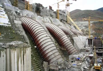 Đưa việc cho nước ngoài thuê rừng ra Quốc hội ảnh 1