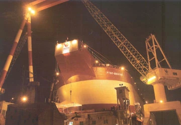 Sẽ còn những Vinashin khác? ảnh 2