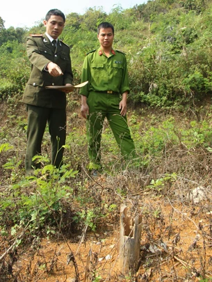 Kỳ 1: “Bí mật” ở trường bắn ảnh 2