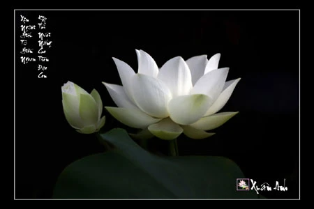 Triển lãm ảnh "Bóng mẹ" gây quỹ từ thiện ảnh 13