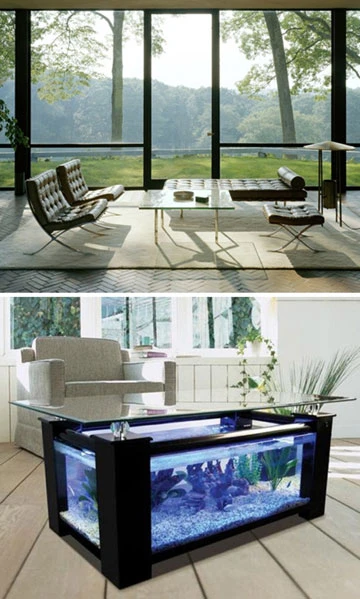 Lung linh cho ngôi nhà của bạn ảnh 1