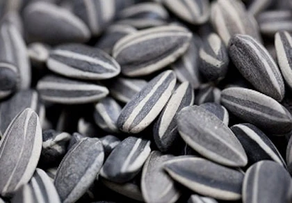 Không sơ cứu kịp, trẻ bị hóc các hạt dễ bị tử vong ảnh 1