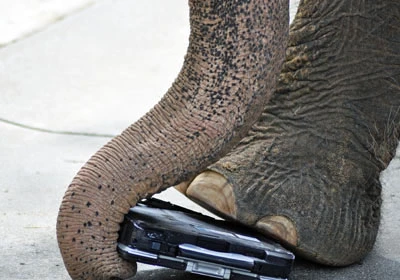 Panasonic CF-30: Laptop “chống” lại Hổ ảnh 5 Panasonic CF-30: Laptop “chống” lại Hổ ảnh 5