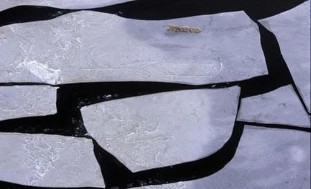 Những nơi sắp biến mất khỏi châu Mỹ ảnh 8