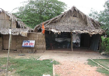 Mất mạng tại quán cà phê võng ảnh 1