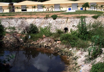 Công ty Masan PQ xả nước thải ra sông ảnh 1