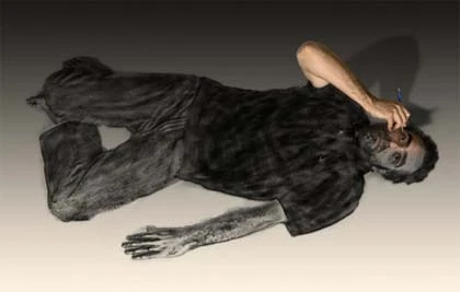 Những bức ảnh tương tác 4D độc đáo ảnh 9