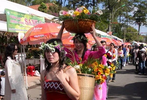 Thiếu nữ và lễ hội hoa Đà Lạt ảnh 3