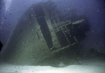 Phát hiện xác tàu đắm "bí ẩn" trên biển ảnh 1