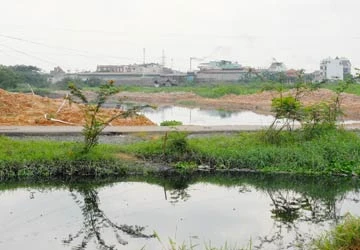 Quốc hội thảo luận về KT-XH: Điều hành kiểu "bắn súng phát một" ảnh 1