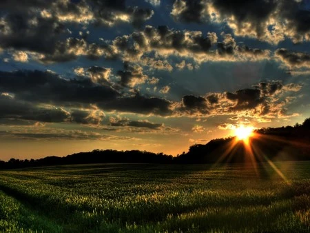 Màn hình desktop rực rỡ với bộ hình nền “nắng hè” ảnh 12