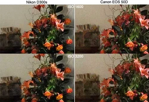 ISO được đẩy lên mức cao. Ảnh: Cameralabs.