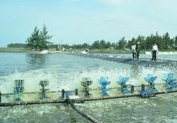 Việt Nam muốn hợp tác với Ai Cập ở nhiều lĩnh vực ảnh 1