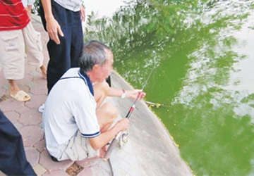 Diệt rùa tai đỏ ở hồ Gươm ảnh 1