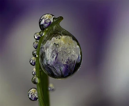 Ấn tượng về sự tinh khiết qua bộ ảnh chụp sương sớm ảnh 19